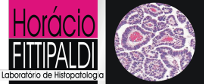 Laboratório Horácio Fittipaldi